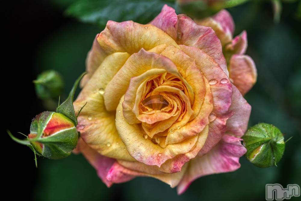 飯田デリヘルFive 飯田店(ファイブイイダテン) さや(25)の4月10日写メブログ「筋肉痛～♡笑」