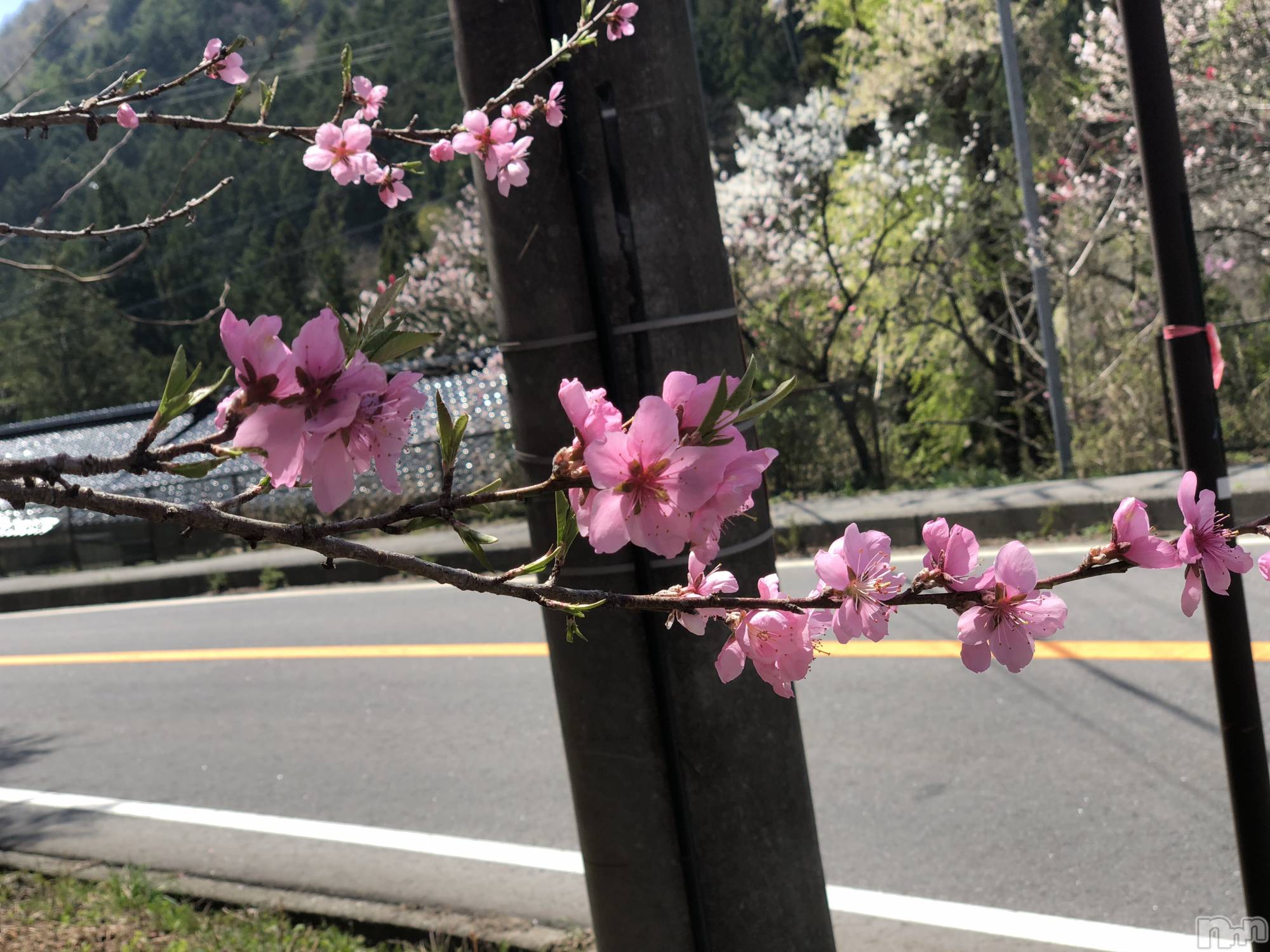 飯田デリヘルFive 飯田店(ファイブイイダテン)さや(25)の2021年5月9日写メブログ「明日は11:30からでます！」