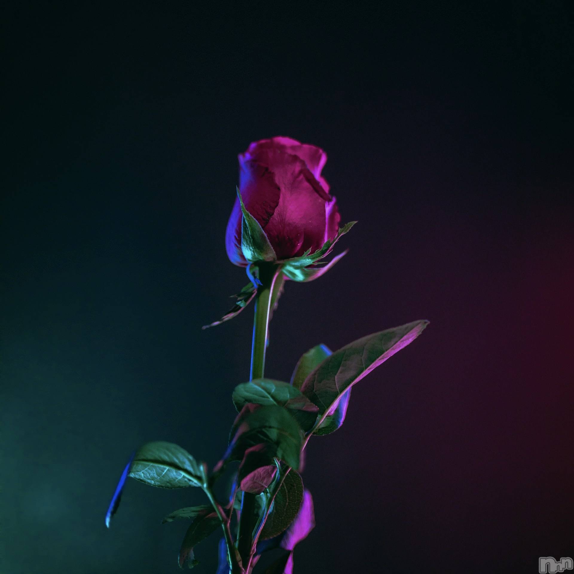 飯田デリヘルFive 飯田店(ファイブイイダテン)さや(25)の2025年6月12日写メブログ「ムフフ‥♡」