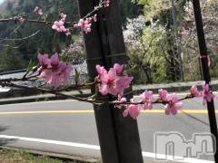 飯田デリヘルFive 飯田店(ファイブイイダテン) さや(25)の5月9日写メブログ「明日は11:30からでます！」