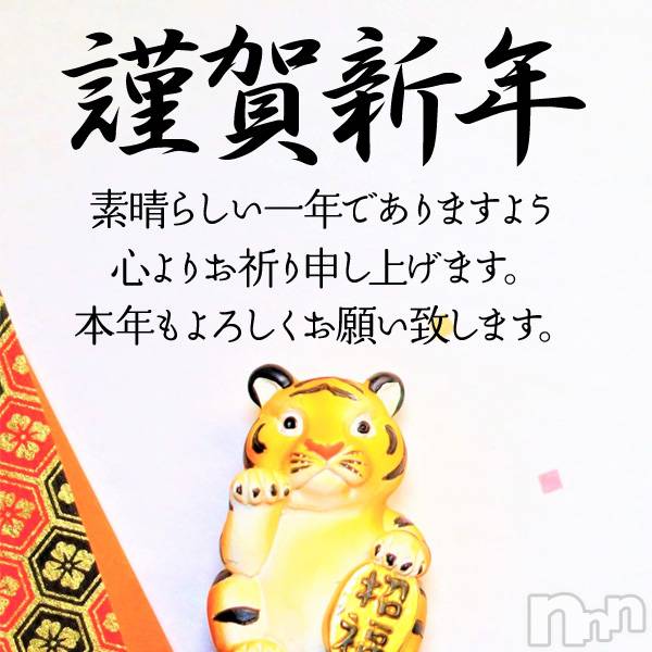ӥʥȥʥ 饤(˥ʥȥʥӥ饤󥢥ʥ) ʥȥʥӥå_뵤12̥֥🎍ޤƤǤȤ¤ޤ🎍