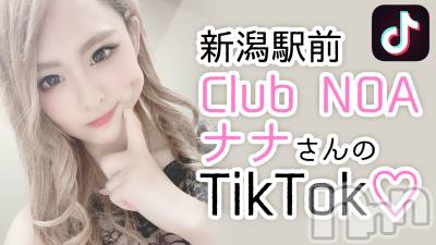 ӥʥȥʥ 饤(˥ʥȥʥӥ饤󥢥ʥ) ʥȥʥӥåդ110̥֥֡TikTokư2019.12 @