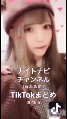 TikTokưۿ  2019.5
