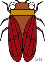 deco