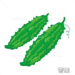 deco