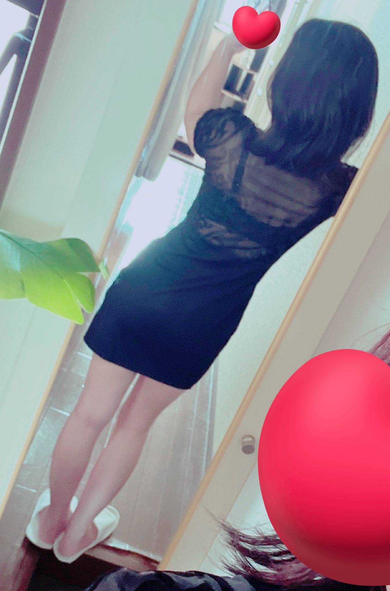 原点に🐸🐸🐸🐸🐸🐸🐸🐸🐸🐸