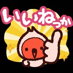 鼠径部集中の時は…ちゃんとやります！