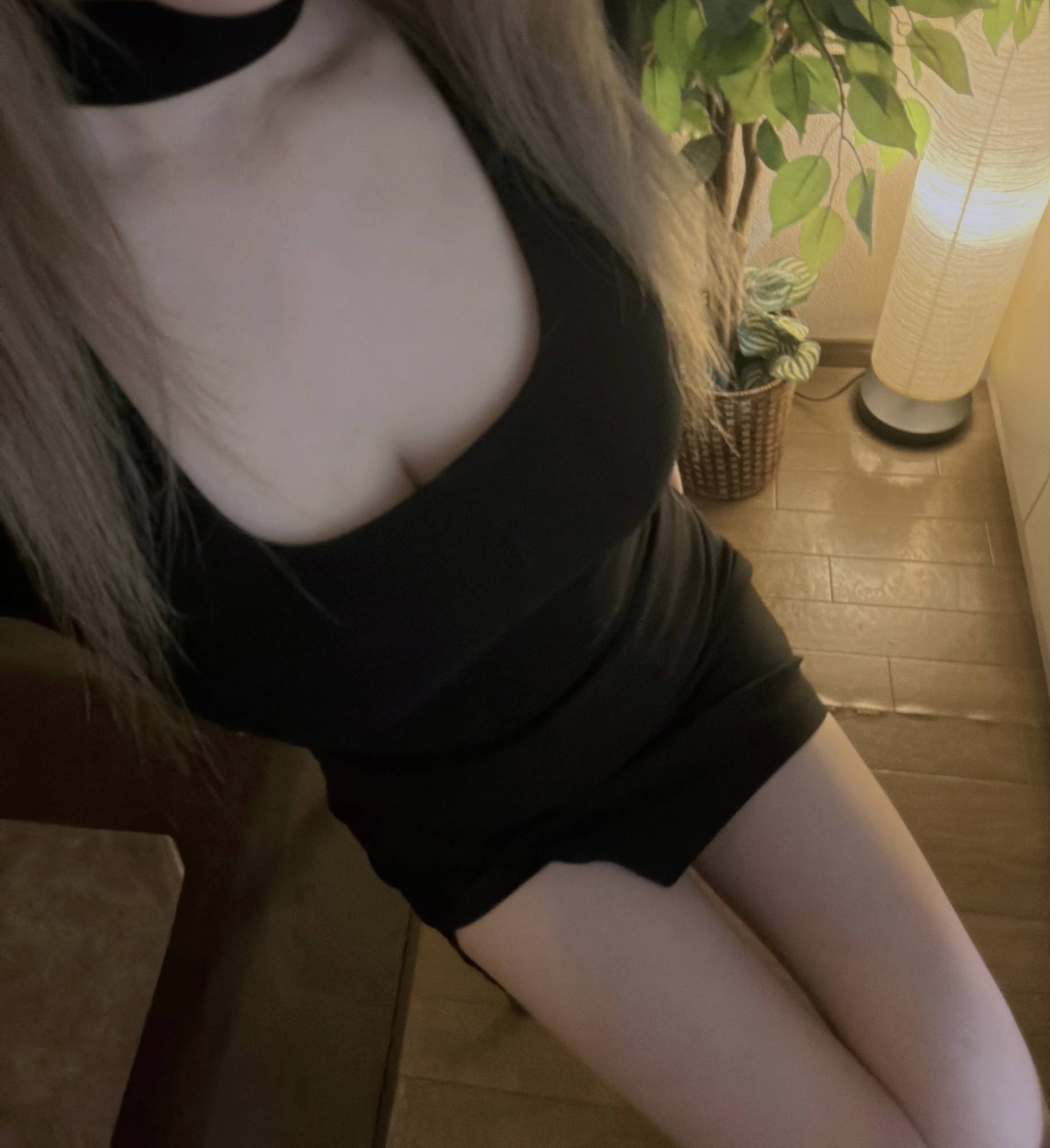来週も