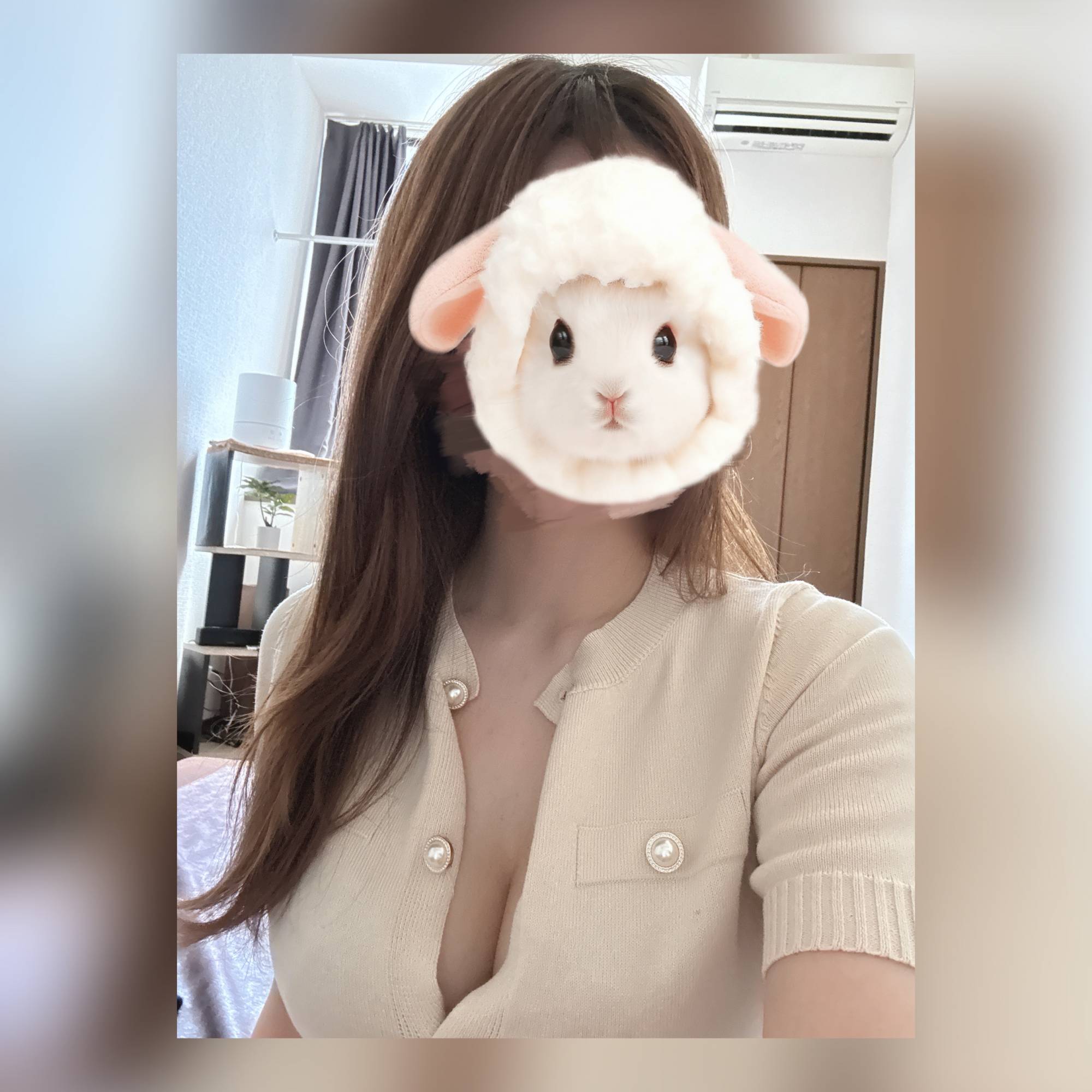 めぐだよ