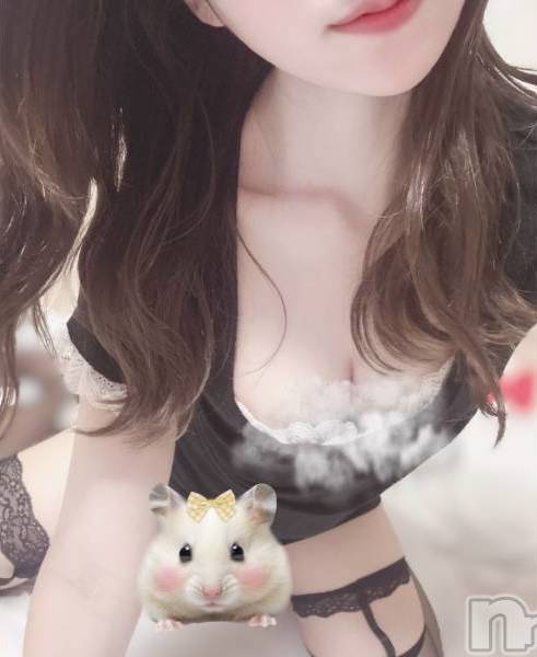 猫宮 ふうさんのプロフィール画像 メイン画像