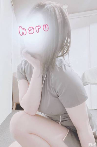 神田 はる プロフィール画像