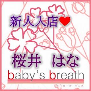 桜井はな【新人】 プロフィール画像