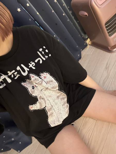 命名 保護猫ナナ プロフィール画像 0