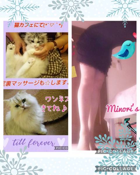 実のり   みのり プロフィール画像