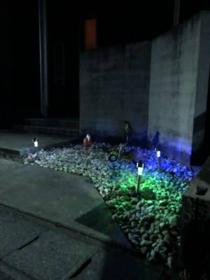 allureの店舗イメージ画像 メイン画像