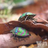 【活動報告012】新潟風テラス・第3回目開催いたしました