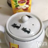 【活動報告21】新潟風テラス・夜間開催（18時～21時）