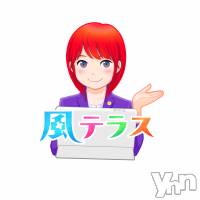 6月7日（水）勉強会「知って安心！お店と女の子を守るための法律勉強会2018@新潟市」