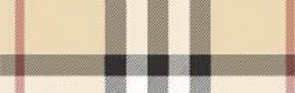 ���ܻԥ���Х��顦����� Entertainment Club HANA��BUSA ��Τ�Ρ�                          ��