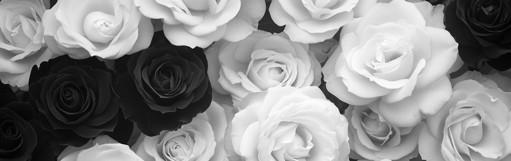 ���ܻԥ���Х��顦����� CLUB WONDER ���礦���Ρ֥��󥿡��ͥåȤγ��ˤ��뵯���ޡ�