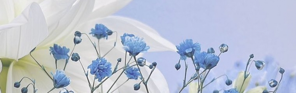 ���ܻԥ���Х��顦����� BRILLAR �³��������Ϻ�Ρּ��ۡ�