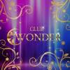 ܥХ顦 CLUB WONDER( )