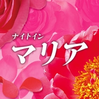 �ʥ��� ���� �ޥꥢ