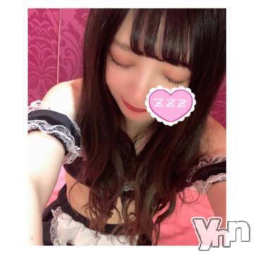 甲府ソープ(セキテイ)の2020年6月19日お店速報「可愛いニャンちゃんがいっぱい！！」