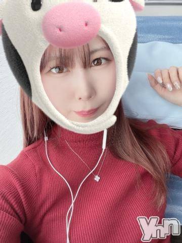 甲府ソープ(セキテイ)の2021年1月4日お店速報「今年もよろしくお願いします。」