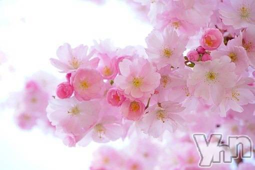 甲府ソープ(セキテイ)の2021年4月21日お店速報「店舗メンテナンスで店休日とさせて頂きます。」