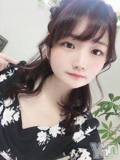 甲府ソープ(セキテイ)の2021年4月24日お店速報「肉棒ワッショイ祭り♥」