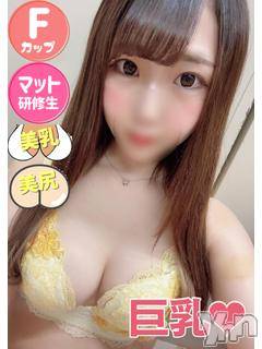 甲府ソープ(セキテイ)の2021年8月20日お店速報「本日も新人キャストがいっぱい出勤♪」