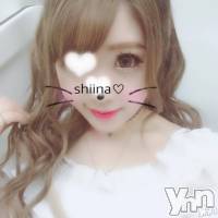 甲府ソープ 石蹄(セキテイ)の9月14日お店速報「あの銀河爆発級美少女しいなちゃんが満を持して石亭に上陸」