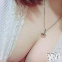 甲府ソープ 石蹄(セキテイ)の11月27日お店速報「石亭本日の美麗泡姫たち(*´Д`)ﾊｧﾊｧ」