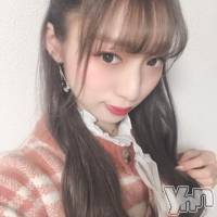 甲府ソープ 石蹄(セキテイ)の1月26日お店速報「新顔さん出勤だぜ」