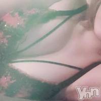 甲府ソープ 石蹄(セキテイ)の2月22日お店速報「週末の石亭豪華キャストご案内〜」