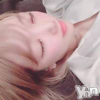 甲府ソープ 石蹄(セキテイ)の3月23日お店速報「本日も厳選されたイイ娘ばかり」