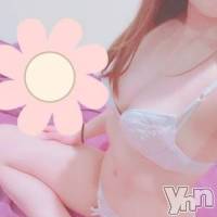 甲府ソープ 石蹄(セキテイ)の10月10日お店速報「本日の石亭の泡姫」