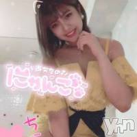 甲府ソープ 石蹄(セキテイ)の2月26日お店速報「可愛いニャンちゃんがいっぱい！！」