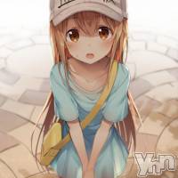 甲府ソープ 石蹄(セキテイ)の5月3日お店速報「GWのスタートだよ！」