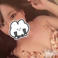 甲府ソープ 石蹄(セキテイ)の10月31日お店速報「わんちゃんコスプレ♥」