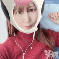 甲府ソープ 石蹄(セキテイ)の1月4日お店速報「今年もよろしくお願いします。」