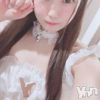 甲府ソープ 石蹄(セキテイ)の2月12日お店速報「石亭しかかたん‼」