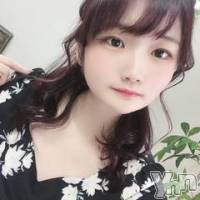 甲府ソープ 石蹄(セキテイ)の4月24日お店速報「肉棒ワッショイ祭り♥」