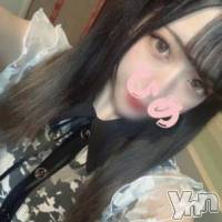 甲府ソープ 石蹄(セキテイ)の11月2日お店速報「本日はロリっ子ちゃんが大集合」