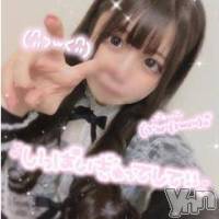 甲府ソープ 石蹄(セキテイ)の1月29日お店速報「最強の布陣💛」