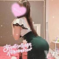 甲府ソープ 石蹄(セキテイ)の5月12日お店速報「美と快楽を極めた美人達♥」