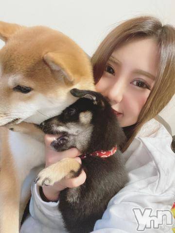 甲府ソープオレンジハウスあんり(22)の2021年11月17日写メブログ「? あんり ?」