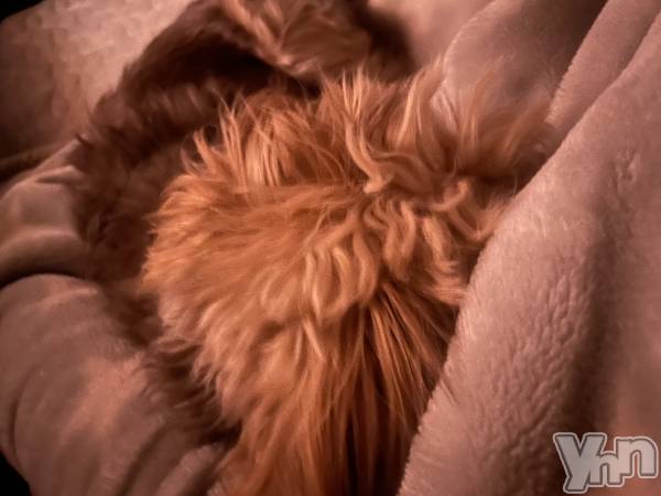 ܥХ顦VOGUE() ꤫329̥֥̲🥱💤😂😂