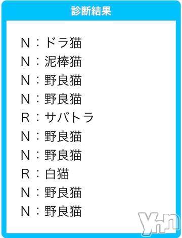 甲府デリヘルLOVE CLOVER(ラブクローバー)すみれ(29)の2019年1月16日写メブログ「第十三訓「飼い主はペットに似る」」